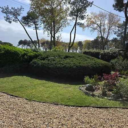 La Grillotte Lejlighed Vieux-Boucau-les-Bains